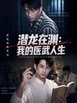 潜龙在渊，我的医武人生海报